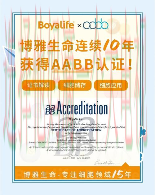 博雅体育正规版免费下载